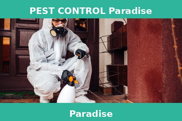 PEST CONTROL Paradise